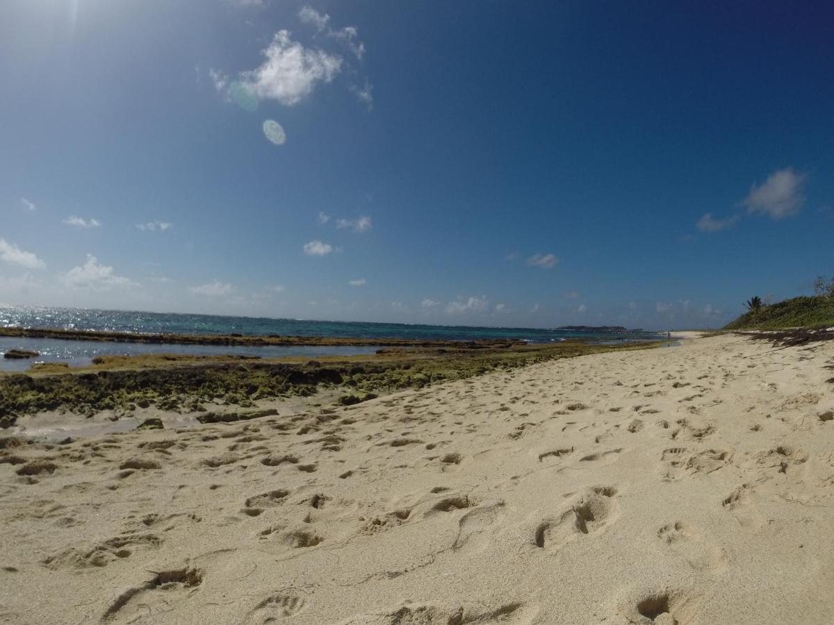 Bungalow Vanille Pacane - Vue Mer Avec Spa Prive Les Trois-Ilets Exteriör bild